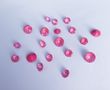 Чатон Австрия 1088, цвет Lotus Pink DeLite, ss29 (6.14-6.32 mm)