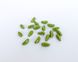 Намистина Chilli, Preciosa, пресоване скло, 11*4 мм, 2 отвори, оливковий непрозорий (53420)