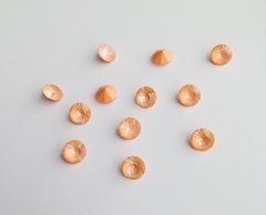 Чатон Swarovski 1088, колір Peach DeLite, ss29 (6.14-6.32 mm)