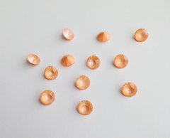 Чатон Австрія 1088, колір Peach DeLite, ss39 (8.16-8.41 mm)