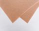 Фетр жорсткий, листовий, аппретований, колір - карамельний (PA-008), 1мм, 20*30см