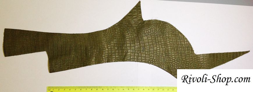 Шкіра натуральна оливкова крокодиляча, товщина 1 мм, 49 см * 18 см